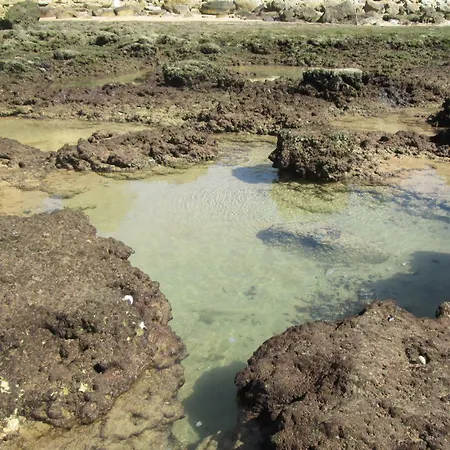 Lägenhet Mica Albufeira